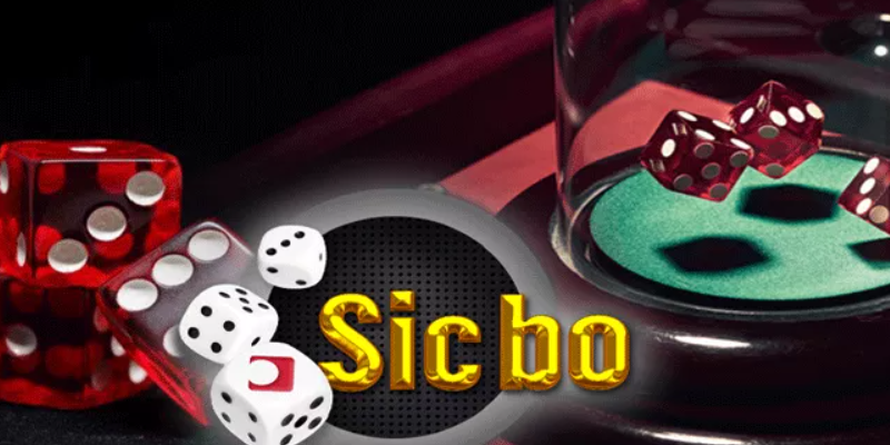 Tips Dan Trik Menebak Angka Sic Bo Dengan Benar